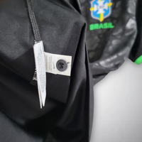 Brazil 