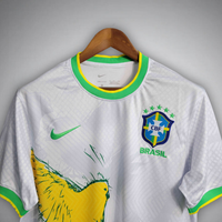 Brazil 