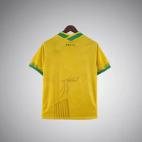 Brazil 
