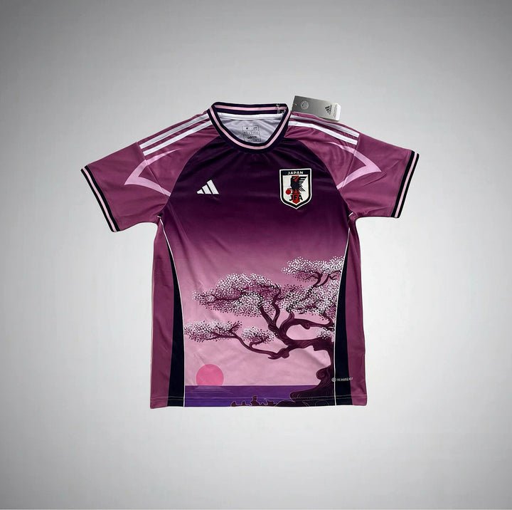 Japan 