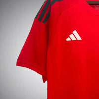 Wales 2024 Home Kit