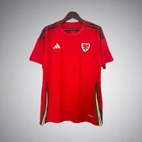 Wales 2024 Home Kit