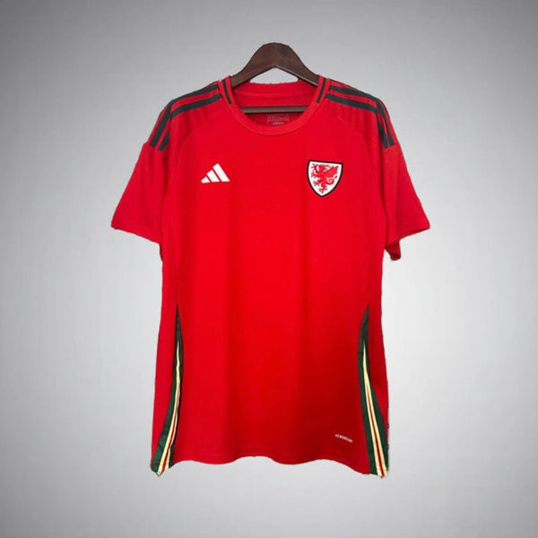 Wales 2024 Home Kit